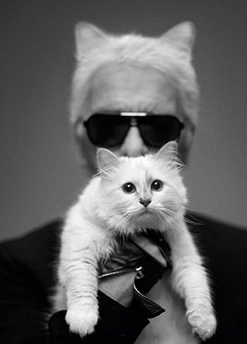 Ez a macska világ érdekes tényeket Karl Lagerfeld macskája, suttogó (kék kék kék) Ez a macska világ érdekes tényeket Karl Lagerfeld macskája, suttogó