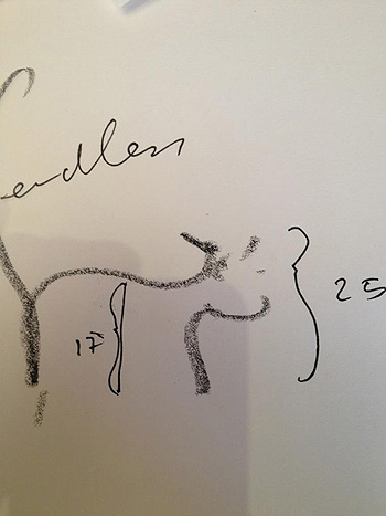Această pisică lume interesante fapte despre pisica de Carl de campfeld, bârfe