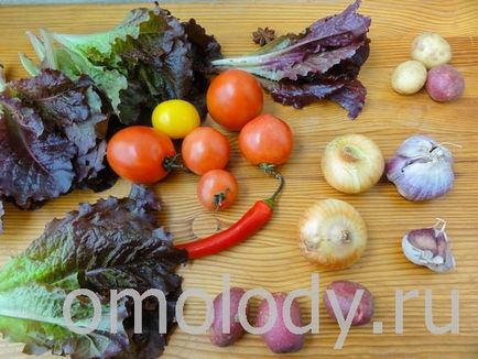 Roșii umplute cu brânză, brânză, ciuperci (cilantro) Roșii umplute cu brânză, brânză, ciuperci