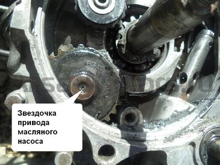 Raportul fotografic al cauzei penei pompei de ulei și a motoretei motoarelor alfa, motoare alisa