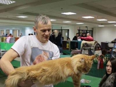 Reportaj foto de la expoziția de pisici - în așteptarea unui miracol - () - Zotover - Referință Tver -