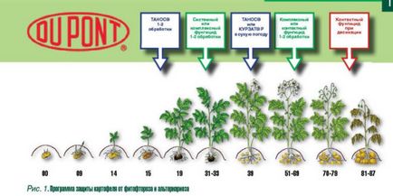 Fungicidul tanos instrucțiuni pentru utilizare și consum