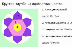 Interesant paturi de flori paturi de flori artificiale și structuri complexe