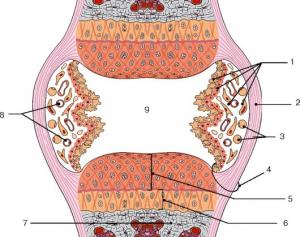 Diarthroza interspinală - ortopedie - site-ul medical