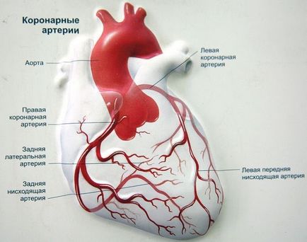 Boala cardiacă ischemică (ibs) și yoga, yoga, slavyoga