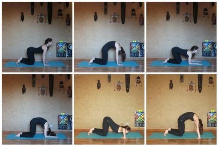 Boala cardiacă ischemică (ibs) și yoga, yoga, slavyoga