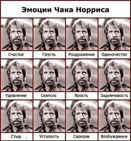 Зображення наноситься чаком Норрісом удар ногою з розвороту є кращим способом