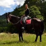 Кабардинський кінь її огляд, відео та фото