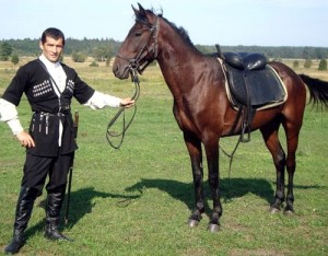 Kabardian rasa de cai fotografie, istorie și descriere