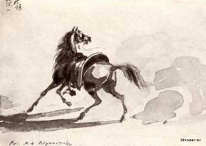 Kabardian rasa de cai fotografie, istorie și descriere