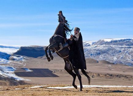 Kabardian rasa de descriere, îngrijire și conținut, fotografie