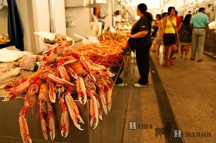 Cadiz - un oraș aflat la marginea lumii - foto-blog al călătoriilor prin Spania - spania noastră