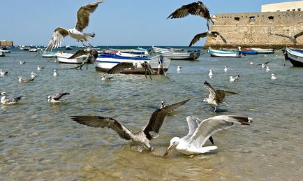 Cadiz - un oraș aflat la marginea lumii - foto-blog al călătoriilor prin Spania - spania noastră