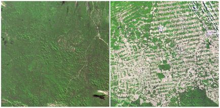 Като човек се променя нашата планета