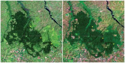 Като човек се променя нашата планета