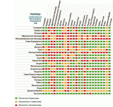 Які види акваріумних рибок агресивні і не уживаються з іншими