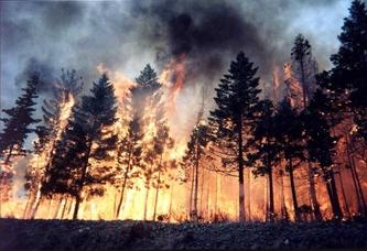 Care sunt incendiile naturale