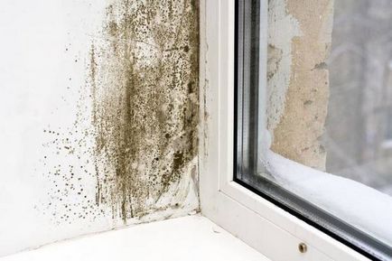 Cum să scapi de mucegai și ciuperci într-o casă privată și apartament de unul singur cum să eliminați mucegai și