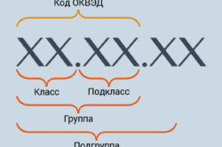 Як можна дізнатися КВЕД ип