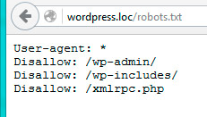 Як налаштувати robots txt для сайту wordpress