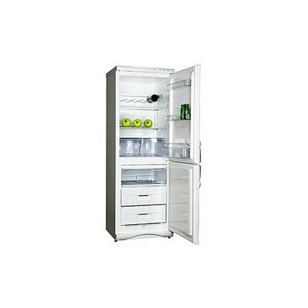 Який холодильник snaige двокамерний краще купити для дому
