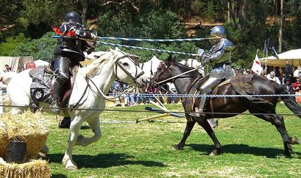 Як підготувати бойового коня середньовіччя і сучасність