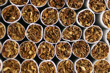 Modul în care apariția tutunului a schimbat Europa