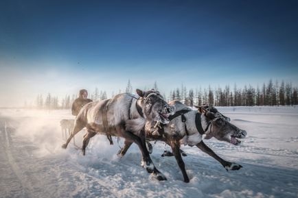 Cât de minunată este această lume pentru finalistii concursului de fotografie Smithsonian 2016