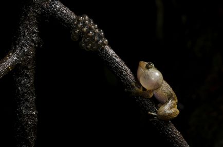 Cât de minunată este această lume pentru finalistii concursului de fotografie Smithsonian 2016