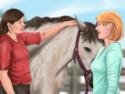 Hogyan készítsünk egy injekciót ló