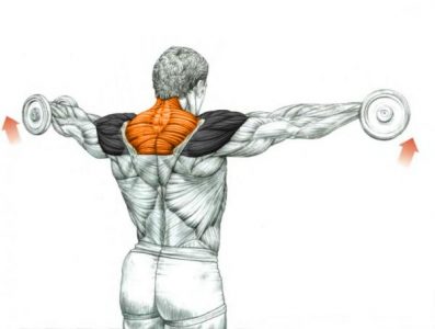 Як зробити плечі ширше в домашніх умовах - вправи