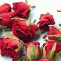 Hogyan gyűjtsünk és száraz echinacea tea