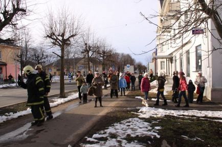 Як в Естонії рятували кота з дерева (20 фото відео)