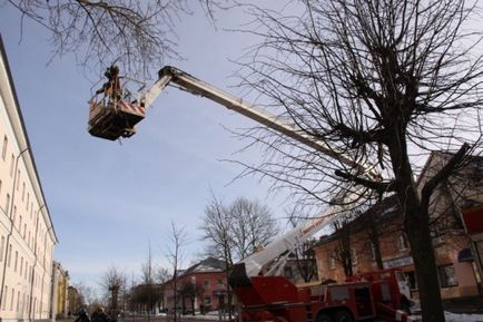 Cum să salvezi o pisică dintr-un copac în Estonia (20 fotografii video)