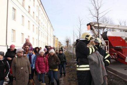 Як в Естонії рятували кота з дерева (20 фото відео)