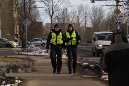 Cum să salvezi o pisică dintr-un copac în Estonia (20 fotografii video)