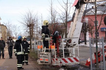 Як в Естонії рятували кота з дерева (20 фото відео)