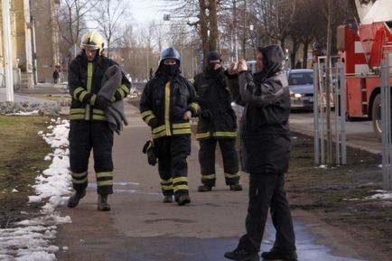 Як в Естонії рятували кота з дерева (20 фото відео)