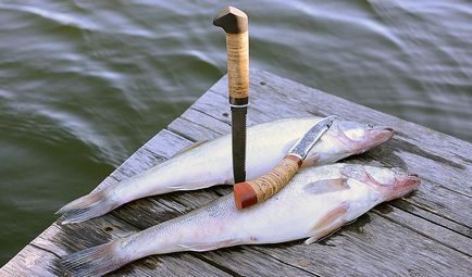 Cum de a alege cel mai bun cuțit de pescuit, care nu este scump și de încredere