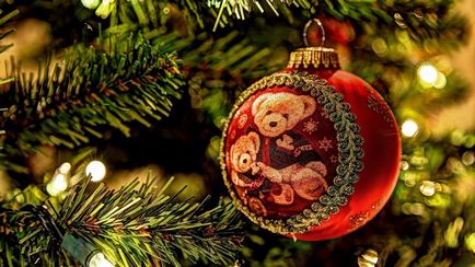 Hogyan válasszuk ki egy élő karácsonyfa útmutató a vásárlók számára, frissebb - a legjobb a nap, amit valaha is szüksége van!
