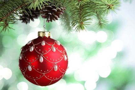 Cum de a alege o instrucțiune vie de pomul de Crăciun pentru cumpărători, mai proaspătă - cea mai bună din Runet pentru a doua zi!