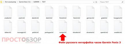 Cum se activează limba rusă în garmin fenix 3