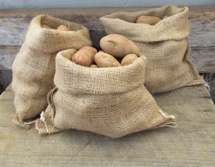 Cum să depozitezi cartofii într-o pivniță în plase, saci, în vrac