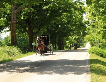 Cum trăiește Amish în Statele Unite - 20 de mile de-a lungul căii albe