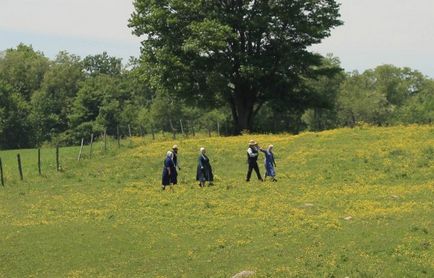 Cum trăiește Amish în Statele Unite - 20 de mile de-a lungul căii albe