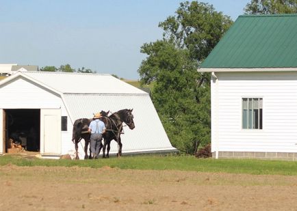 Cum trăiește Amish în Statele Unite - 20 de mile de-a lungul căii albe