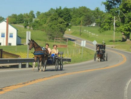 Cum trăiește Amish în Statele Unite - 20 de mile de-a lungul căii albe