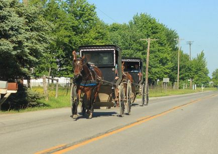 Cum trăiește Amish în Statele Unite - 20 de mile de-a lungul căii albe