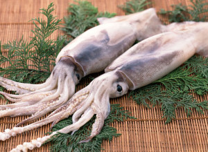 Squid în sos de smântână interesante pas-cu-pas retete