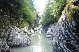 Canyon átkozott kapu, Sochi (host)